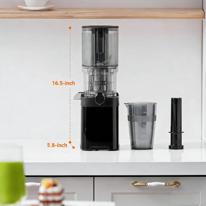 High-Efficiency Cold Press Juicer with Large Feed Chute