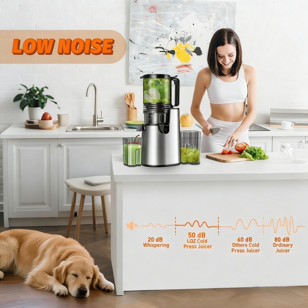 Quiet High-Yield Cold Press Juicer